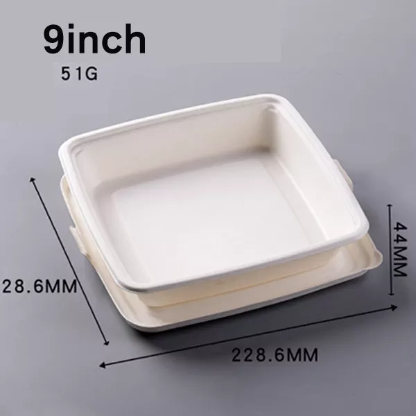 disposable bagasse sugarcane lunch tray with single lids
