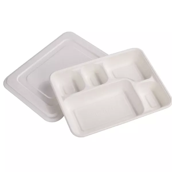 5 comparement bagsses food tray with lids