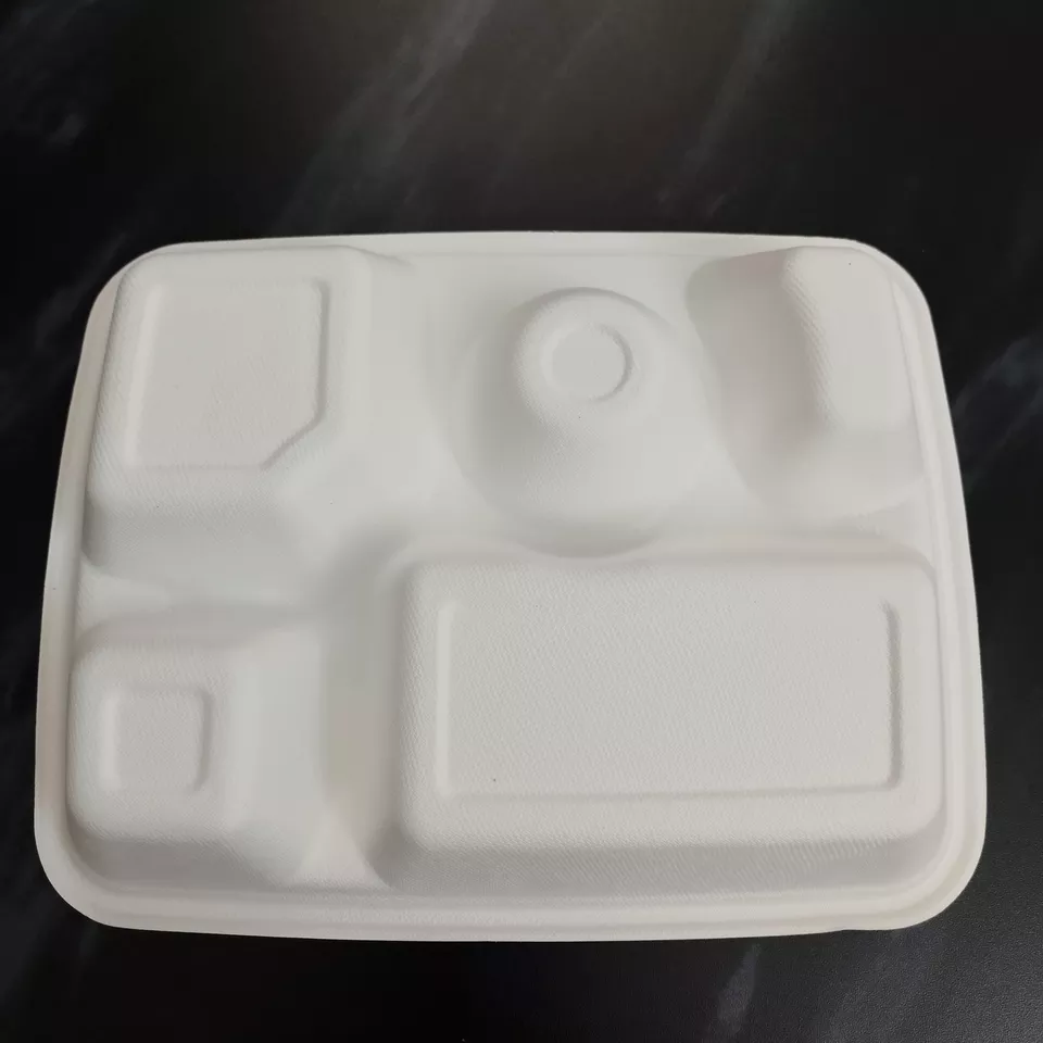 5 compartment tableware sugarcane bagasse tray food container