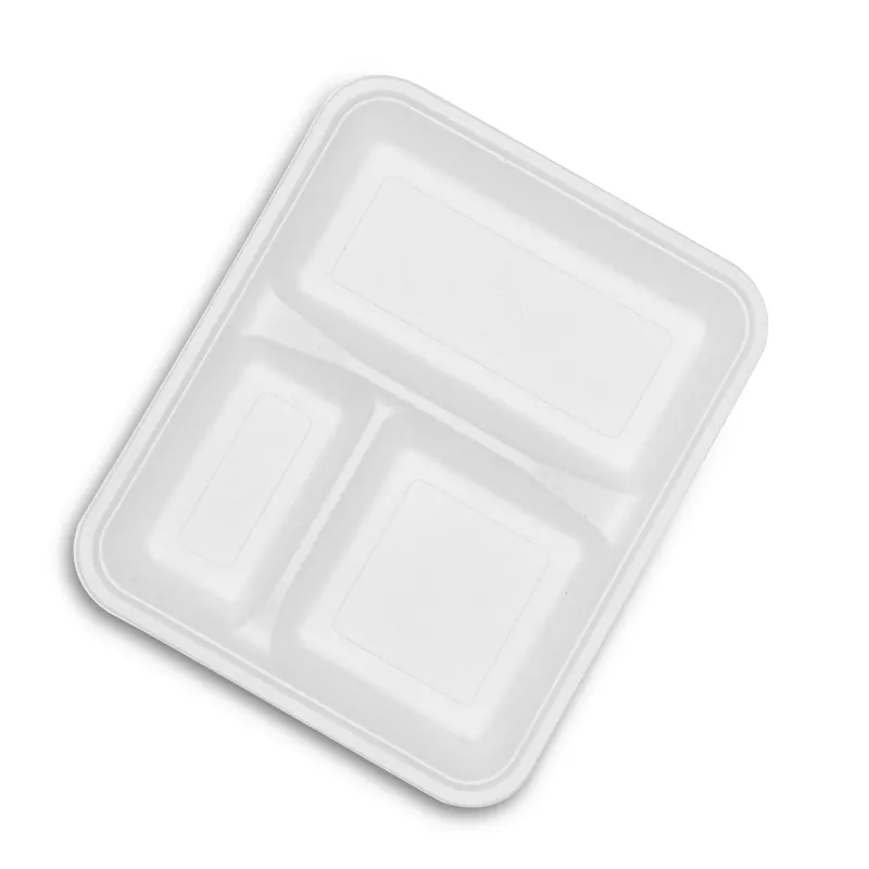 3 compartment sugarcane bagasse molded pulp lunch food trays