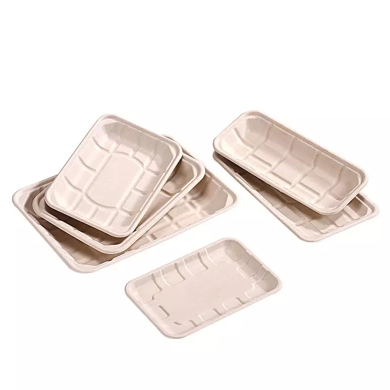 sugarcane bagsses food vegetable tray rectangle