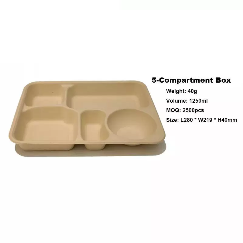 Biodegradable Bamboo Fiber Pulp Food Tray Lunch Box with Lid