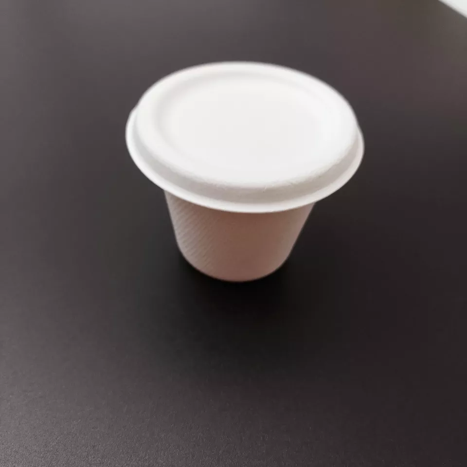 4oz Bagasse Sauce Cup With Lid