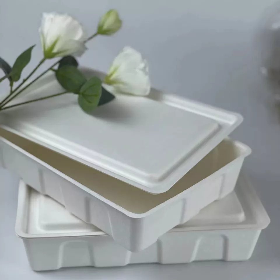 Disposable Pulp mold sugarcane bagasse box packaging custom waist seal for Any package