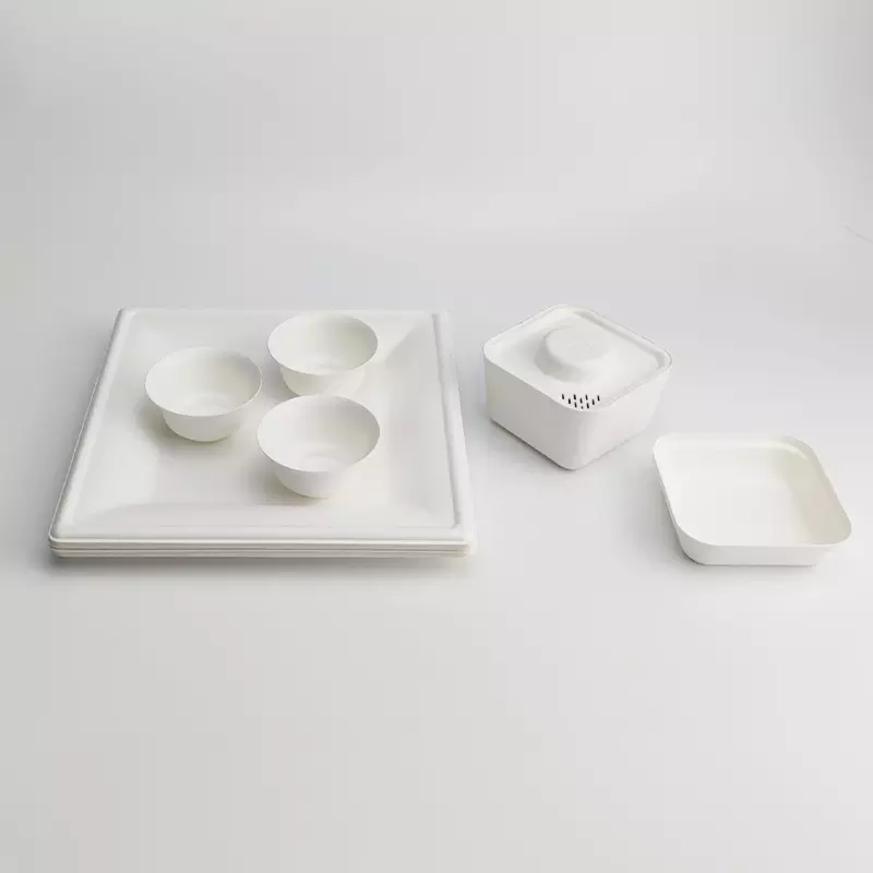 Benutzerdefinierte Einweg-Bagasse-Form-Hot-Pulp-Tee-Set-Verpackung