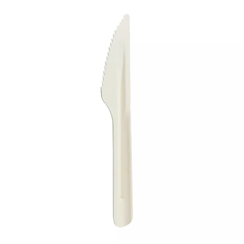 Disposable Compostable Bagasse sugarcane Spoon Fork Knife