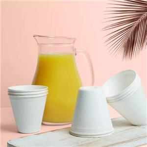 Tasse à café en papier de canne à sucre en bagasse imprimée