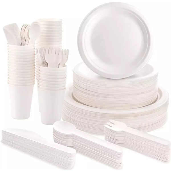 Biodegradable Sugarcane Plates And Cutlery Set
