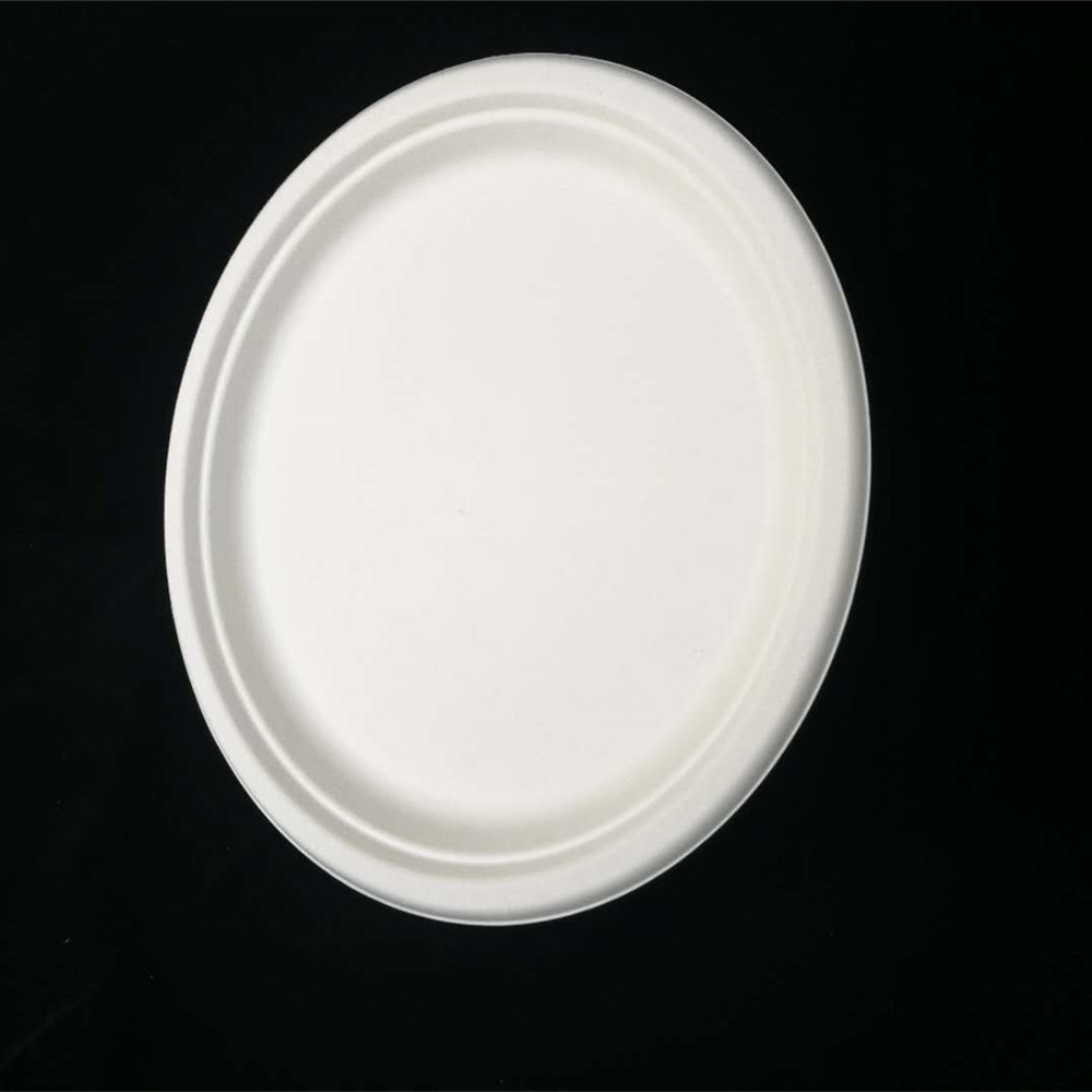 Китай 10-дюймовые одноразовые тарелки из багассы без ПФАС, производитель