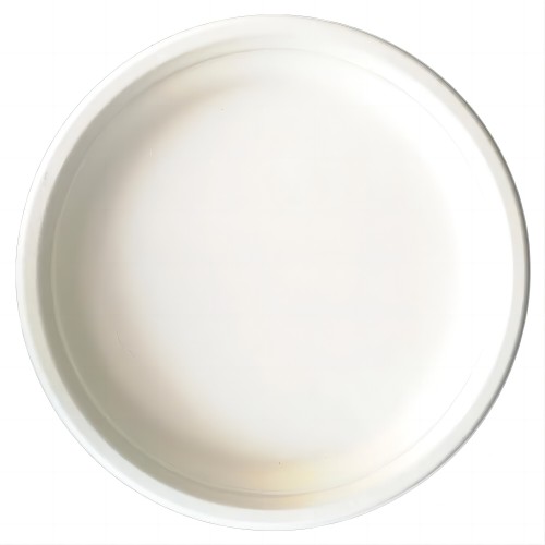 100% Compostable Paper Plates