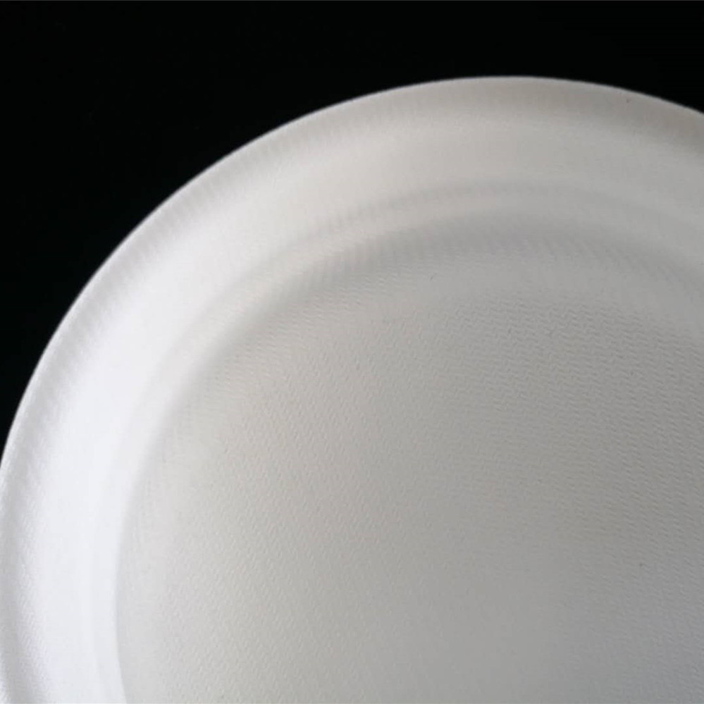 Китай 6-дюймовые одноразовые тарелки из багассы без ПФАС, производитель