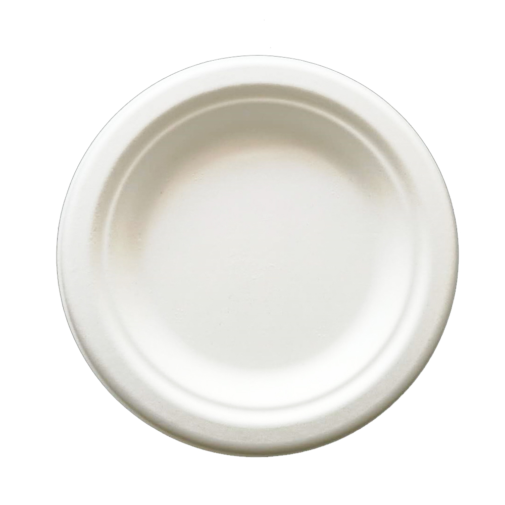 No PFSA added disposable plate