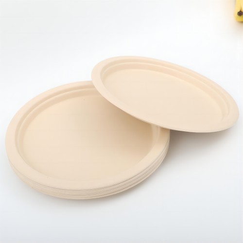 10 inch PFAS Free Disposable Bamboo Pulp Plate