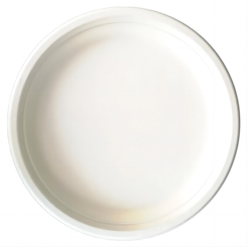 Bagasse plate No PFSA added