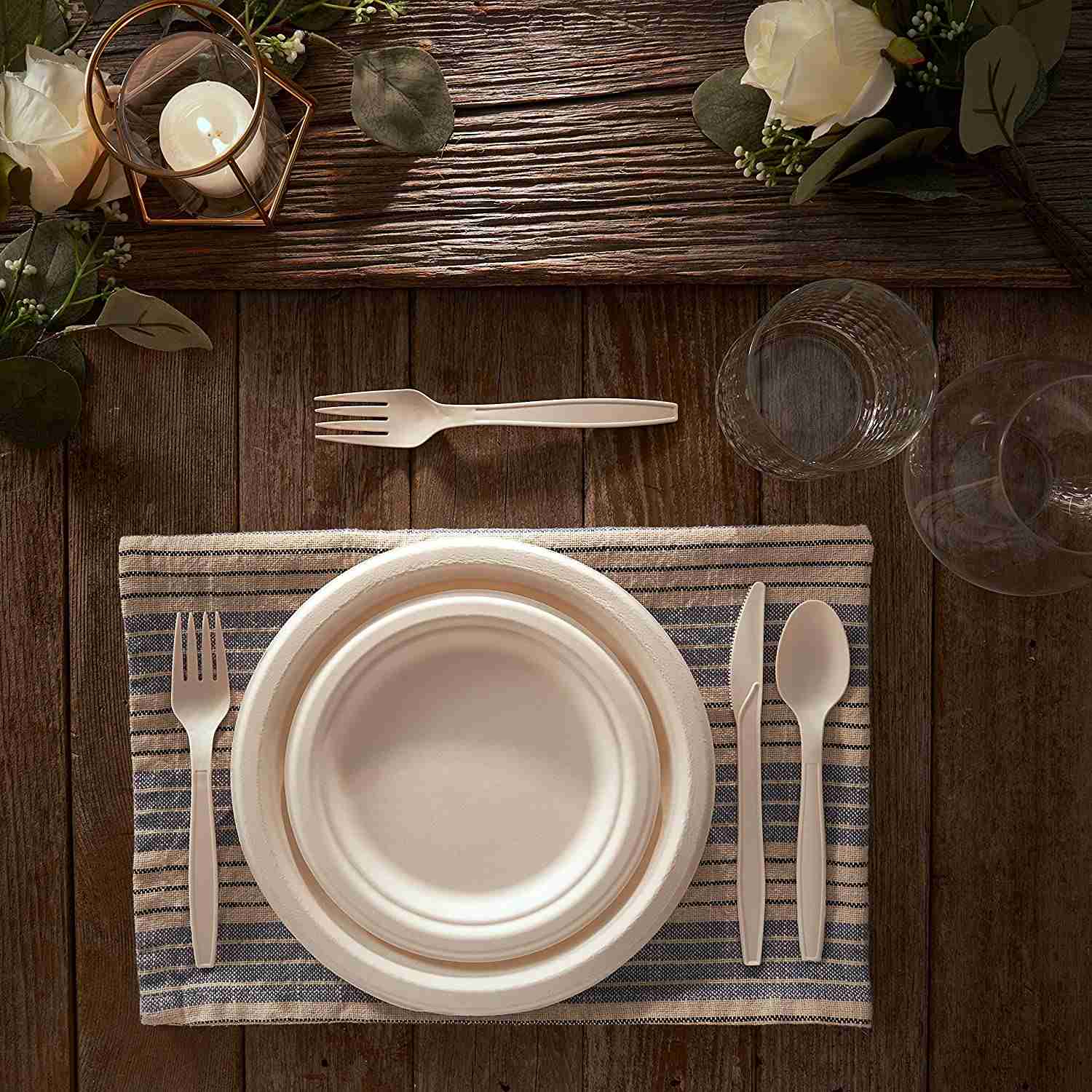 biodegradable sugarcane plates and cutlery set