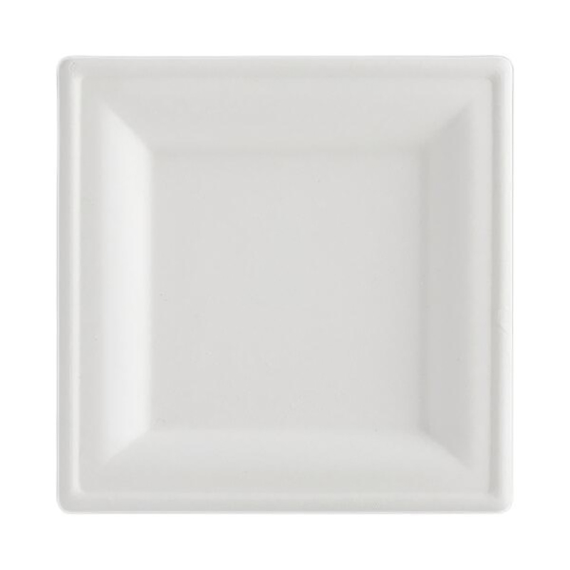 bagasse plates 6 inch