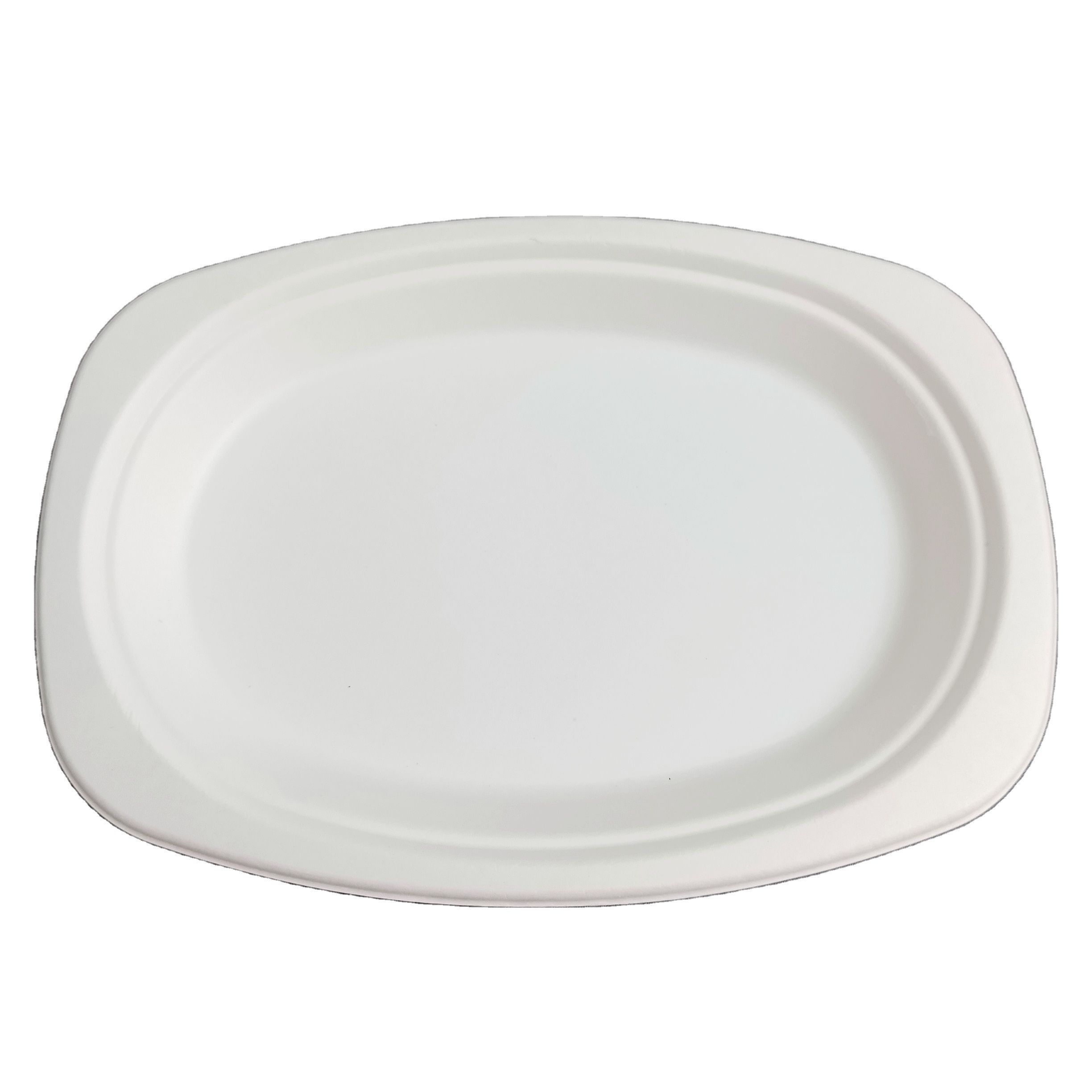 biodegradable bagasse plates