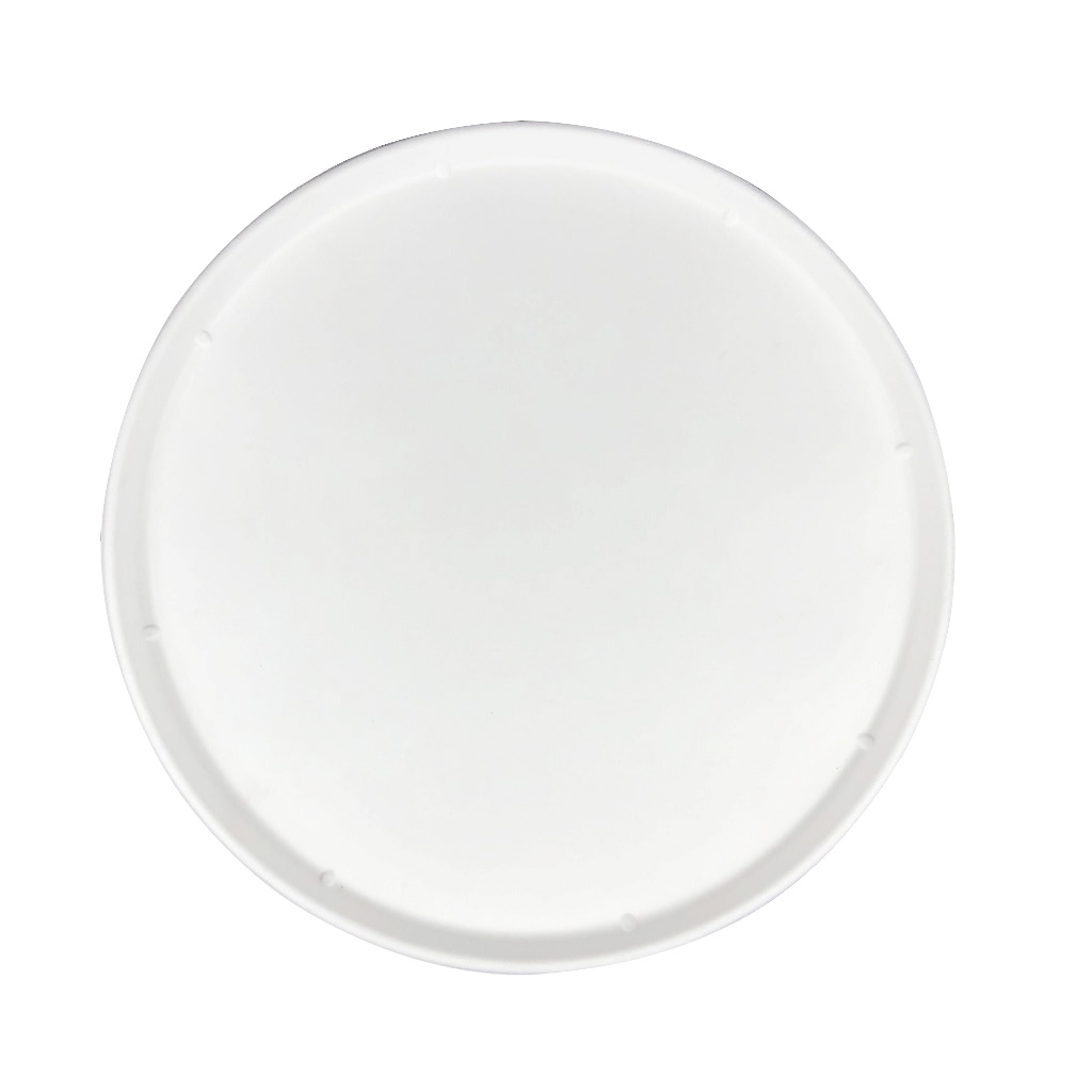 12 inch large disposable round bagasse paper plate