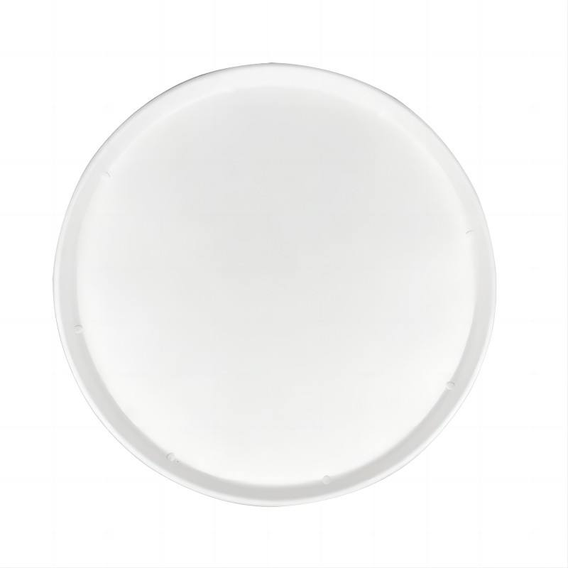 12-дюймовая большая одноразовая круглая бумажная тарелка из багассы