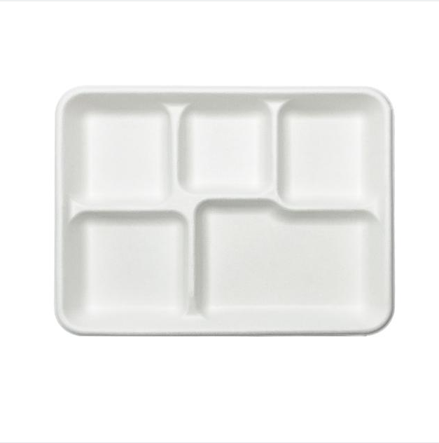5 compartment bagasse lunch plate