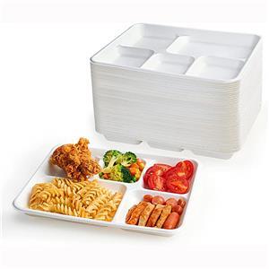 Compostable Sugarcane Bagasse 5 Compartment Long Tray plate