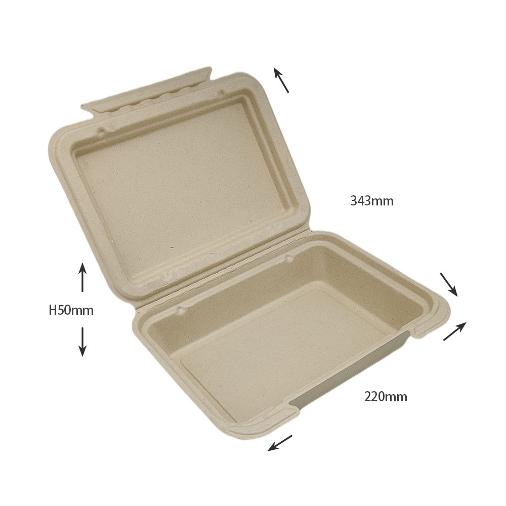 bagasse pulp lunch boxes