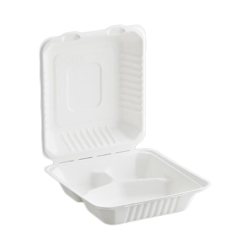 sugarcane food boxes takeaway container