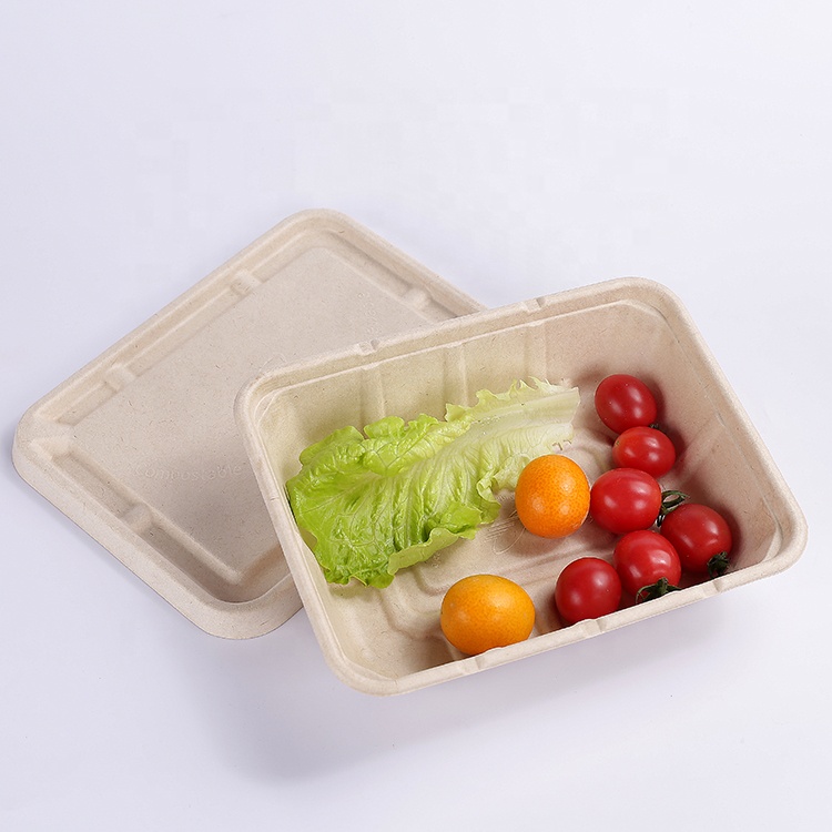 bagasse food box with lid