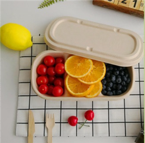 bagasse food box with lid