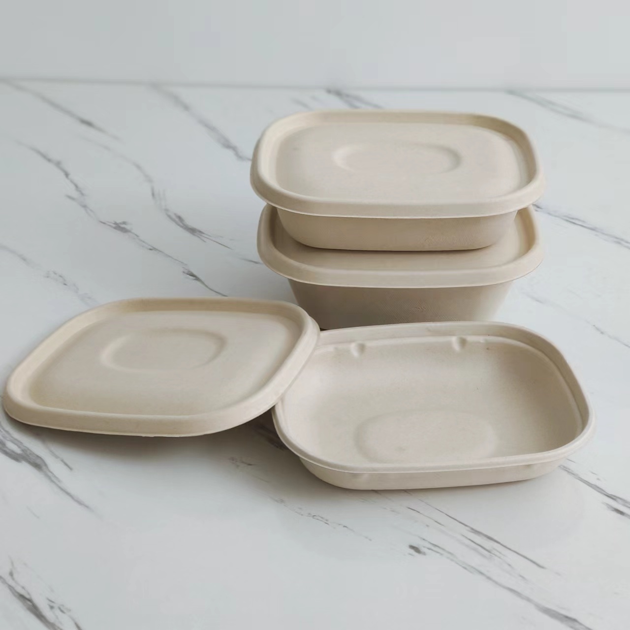 bagasse food containers biodegradable lunch box