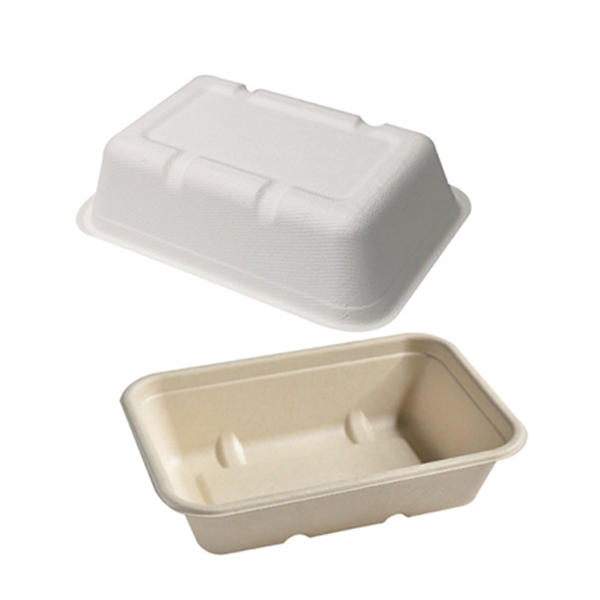 sugarcane bagasse lunch box with lid
