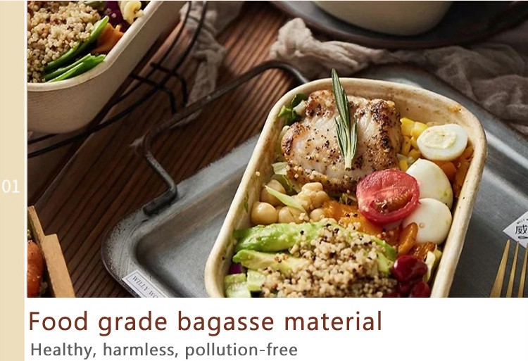 disposable bagasse boxes