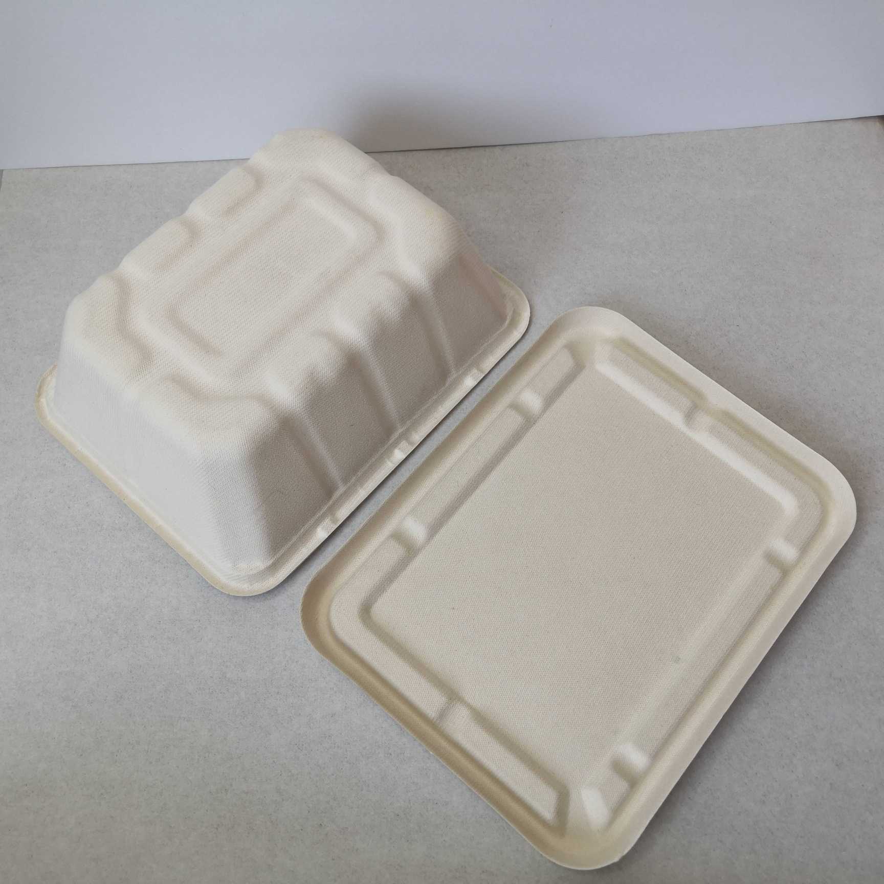 disposable sugarcane pulp lunch box for take away