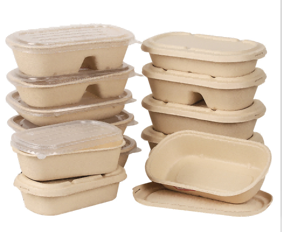bagasse 1000ml disposable food box with pet lid