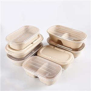 bagasse 1000ml disposable food bento box with pet lid