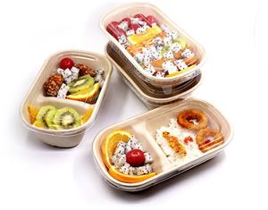 bagasse 1000ml disposable food bento box with pet lid