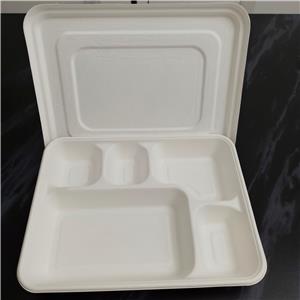 sugarcane bagasse lunch box with lid