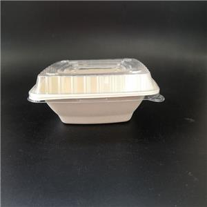 Salada de bagaço de cana-de-açúcar biodegradável 24 onças