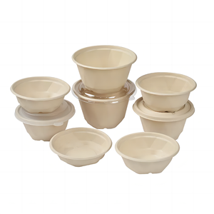 2500ml disposable compostable sugarcane ramen bowl with lid