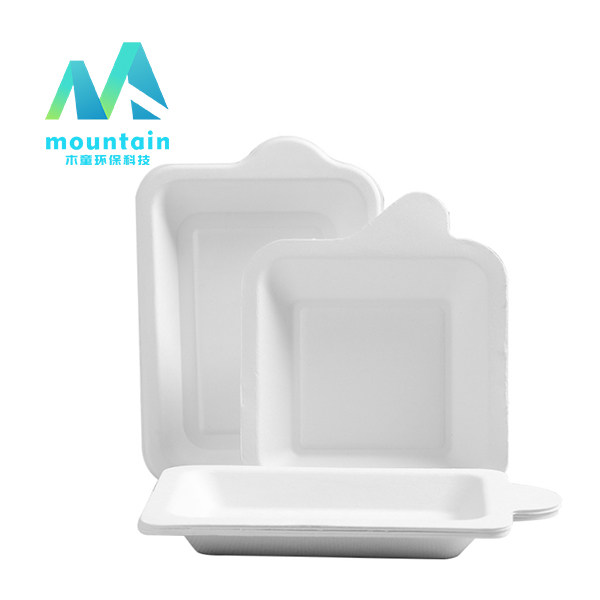 bagasse square tray