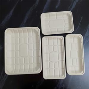 Testing the use of sugarcane bagasse meat trays