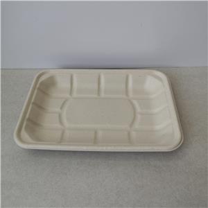 sugarcane bagsses food vegetable tray rectangle