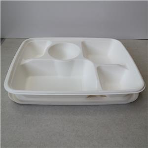 tableware sugarcane bagasse tray food container
