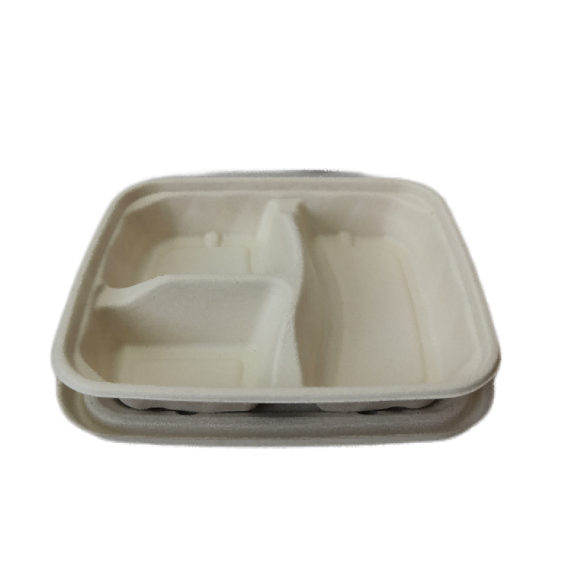 sugarcane bagasse catering tray with lid