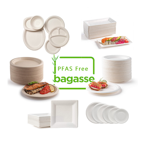PFAS free bagasse food container