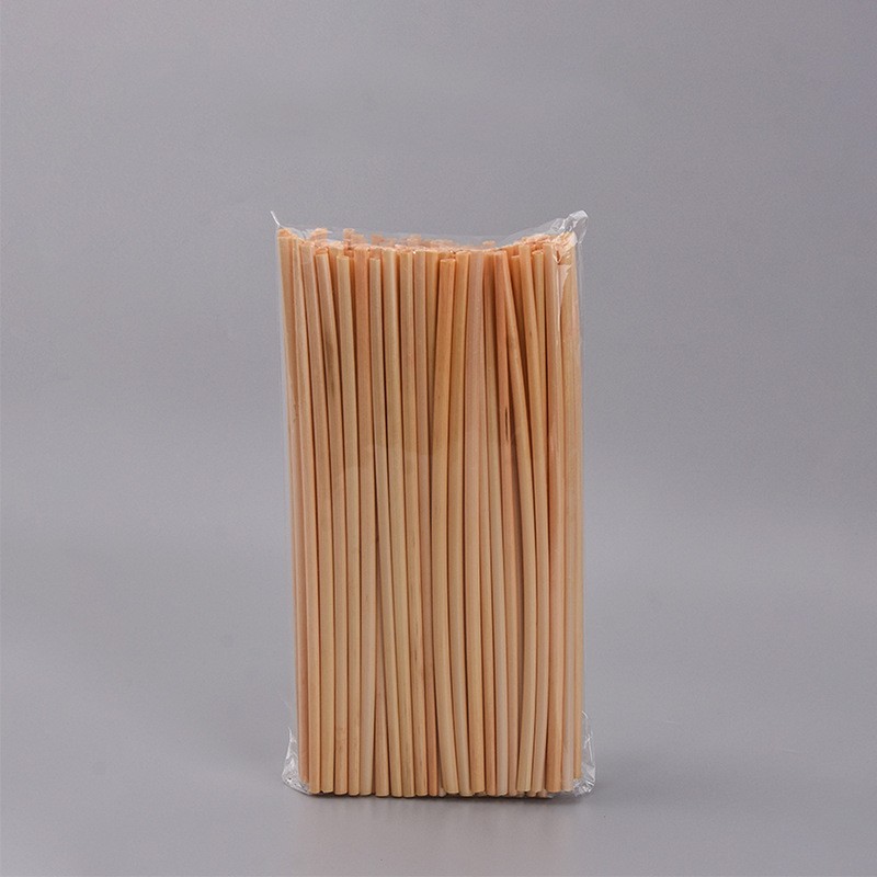 bagasse straws