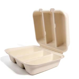 From Plastic Lunch Boxes to Biodegradable Lunch Boxes