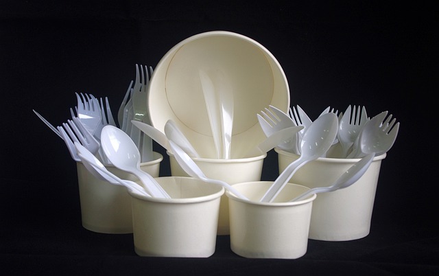 Biodegradable tableware