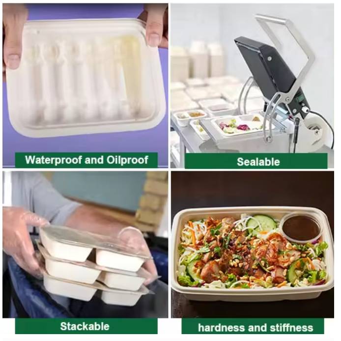 Biodegradable fibre Sugarcane Bagasse food tray packaging