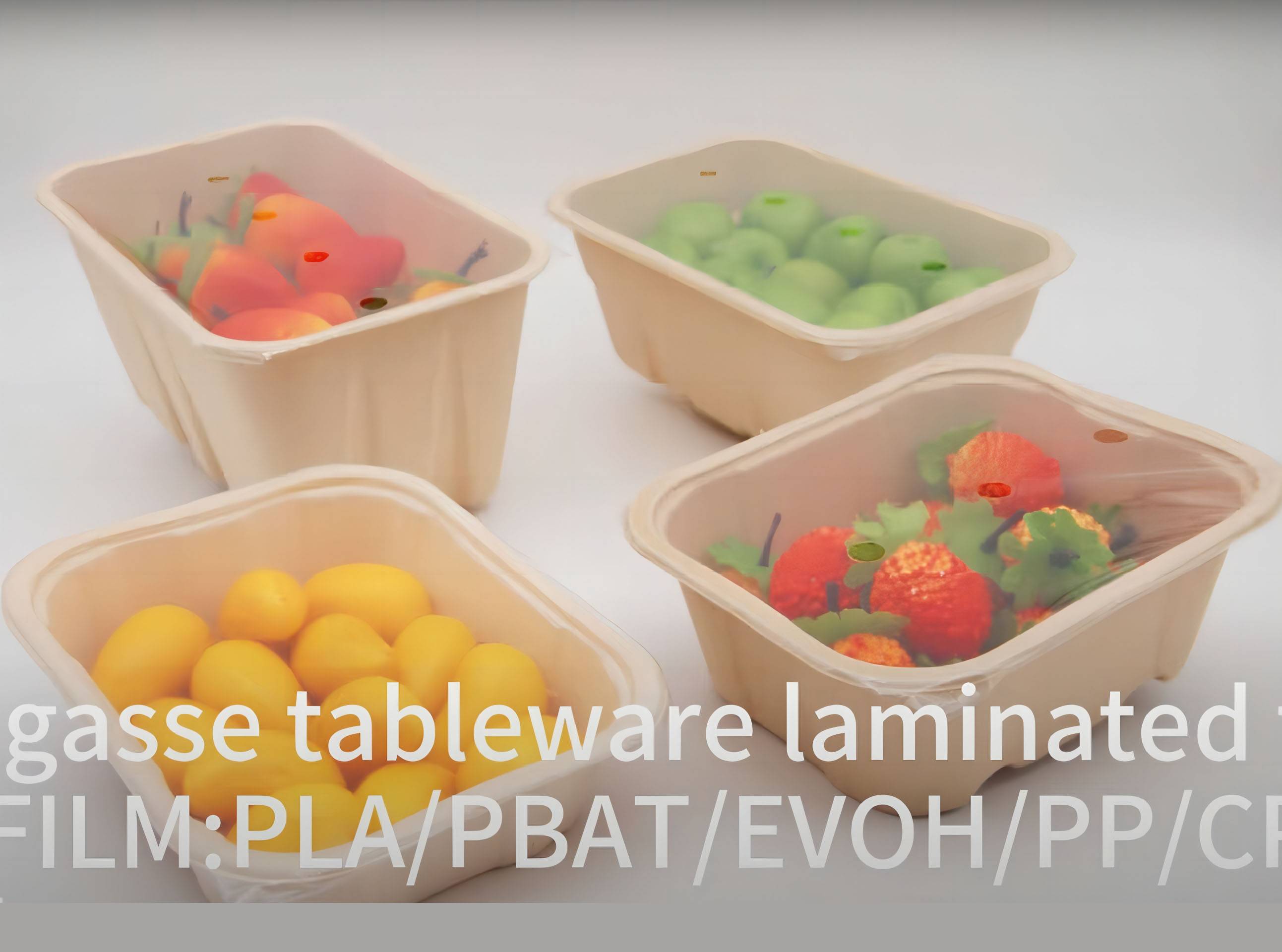 Sealable Meal Tray Biodegradable Bagasse Tray with Lamination Film